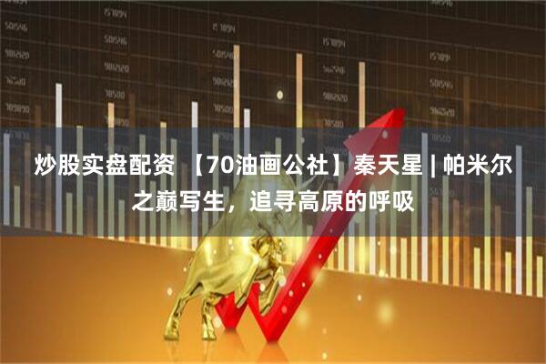 炒股实盘配资 【70油画公社】秦天星 | 帕米尔之巅写生,追寻高原的呼吸