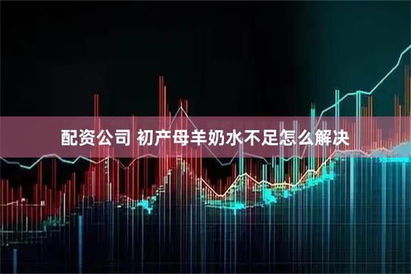 配资公司 初产母羊奶水不足怎么解决