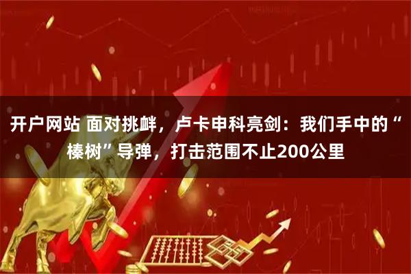 开户网站 面对挑衅，卢卡申科亮剑：我们手中的“榛树”导弹，打击范围不止200公里